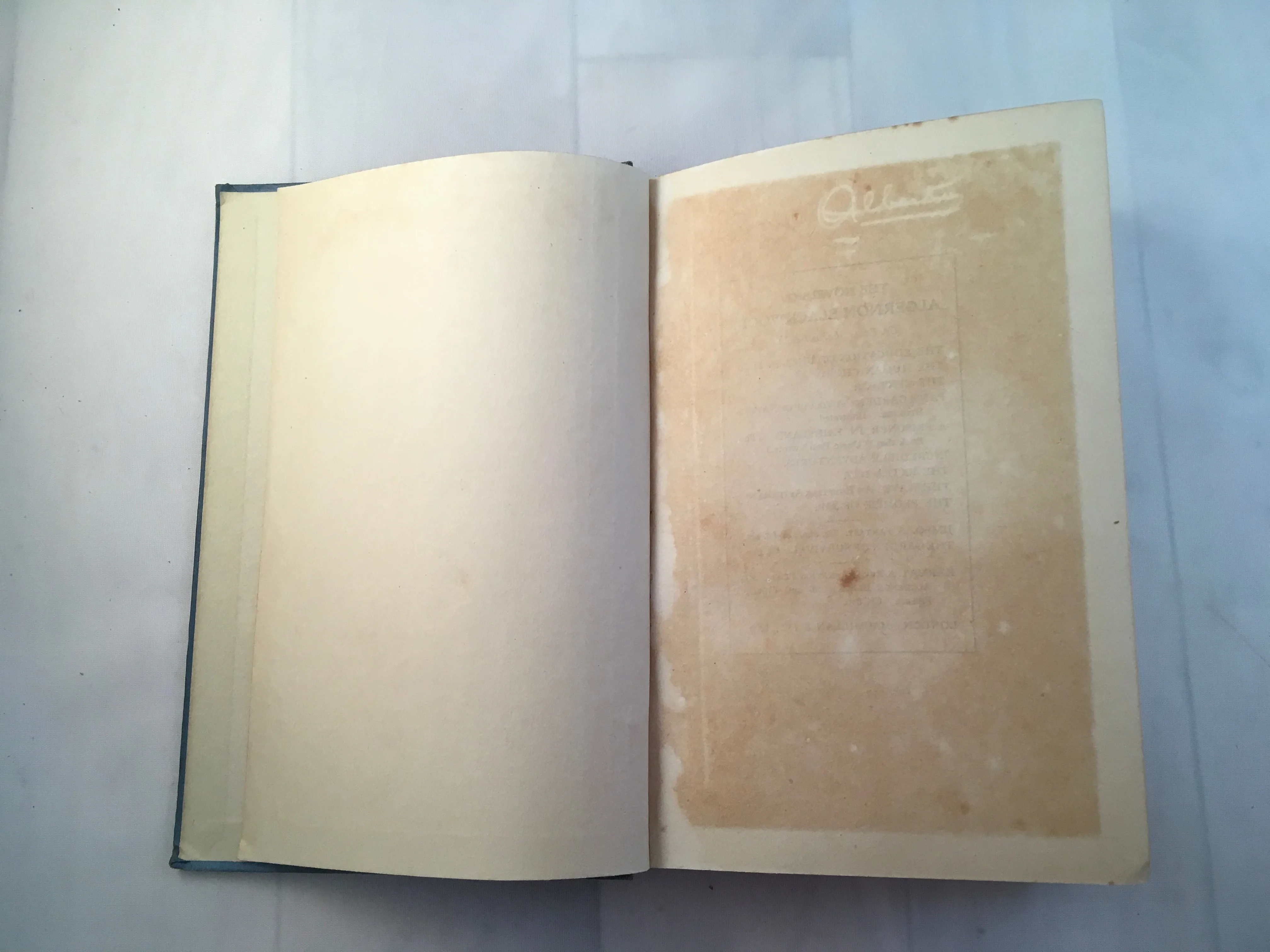 Algernon Blackwood - The Garden of Survival, Macmillan and Co 1918, First Edition, Good Condition