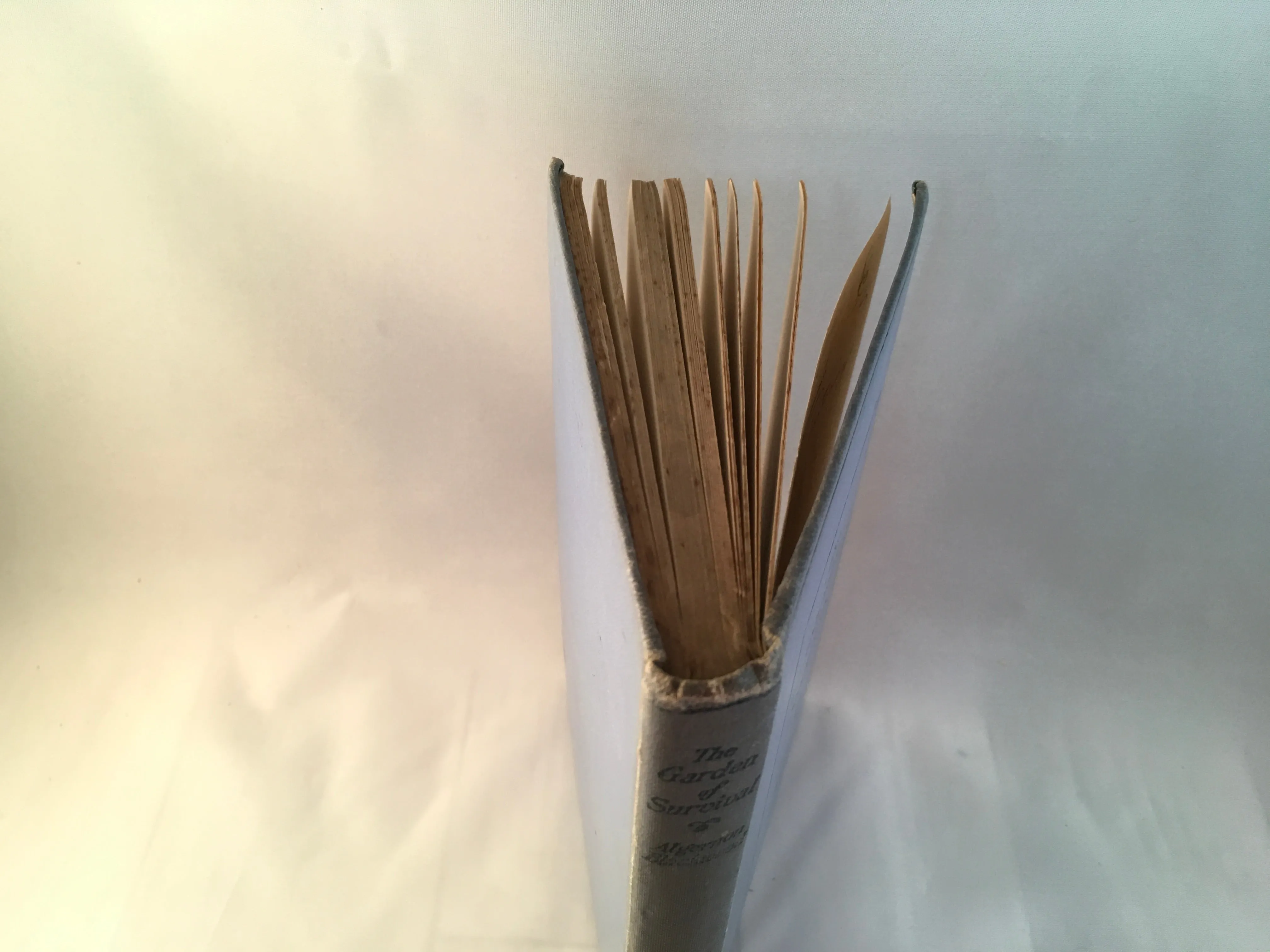 Algernon Blackwood - The Garden of Survival, Macmillan and Co 1918, First Edition, Good Condition