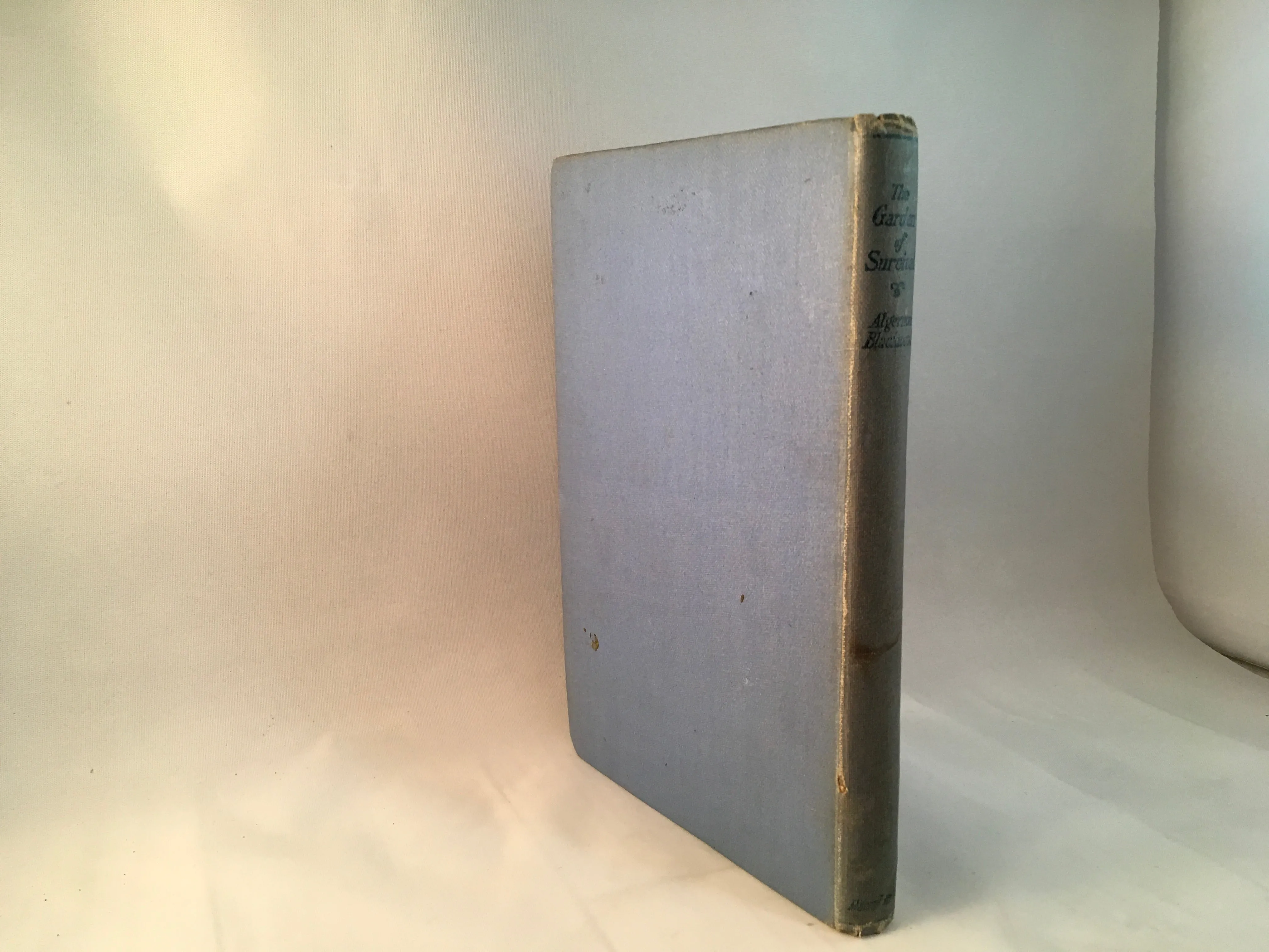 Algernon Blackwood - The Garden of Survival, Macmillan and Co 1918, First Edition, Good Condition
