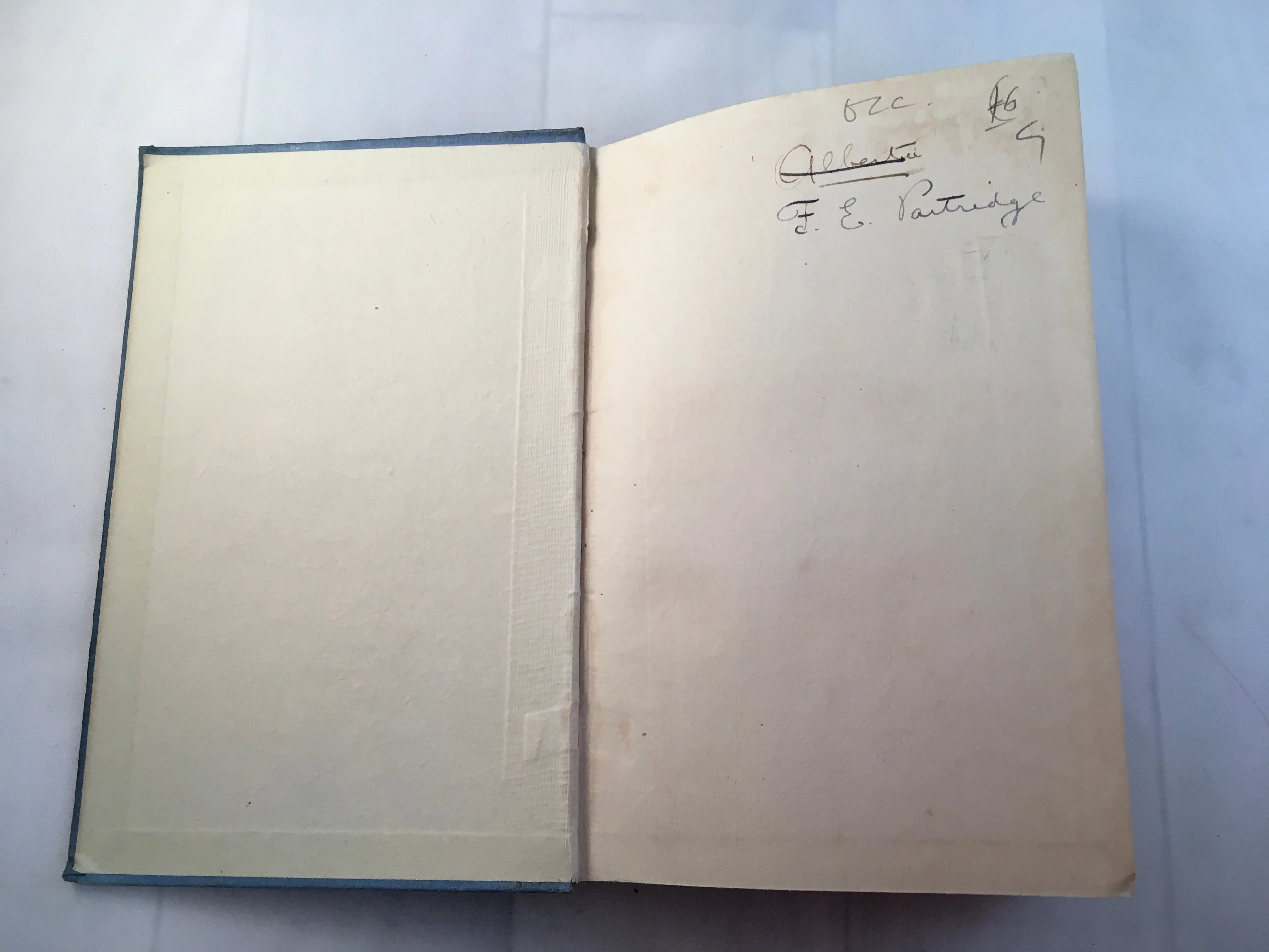 Algernon Blackwood - The Garden of Survival, Macmillan and Co 1918, First Edition, Good Condition