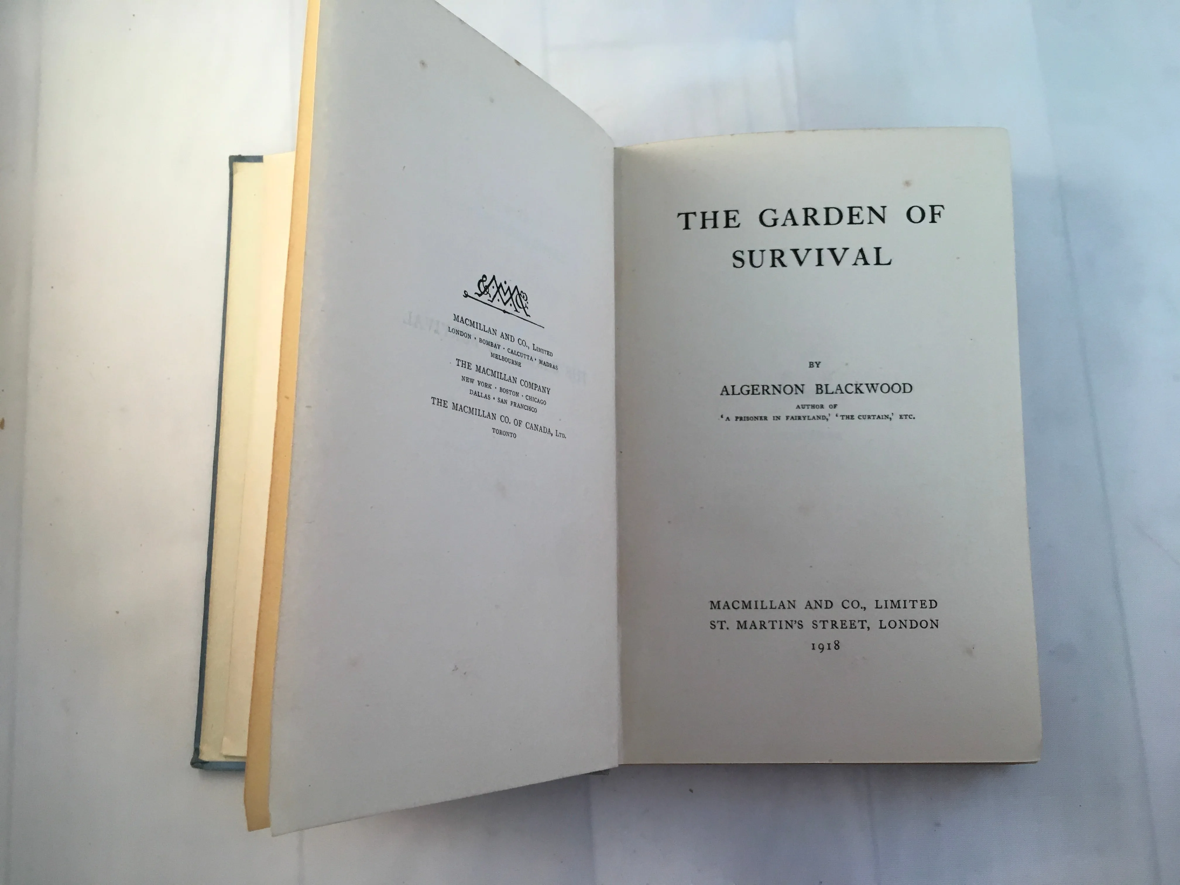 Algernon Blackwood - The Garden of Survival, Macmillan and Co 1918, First Edition, Good Condition
