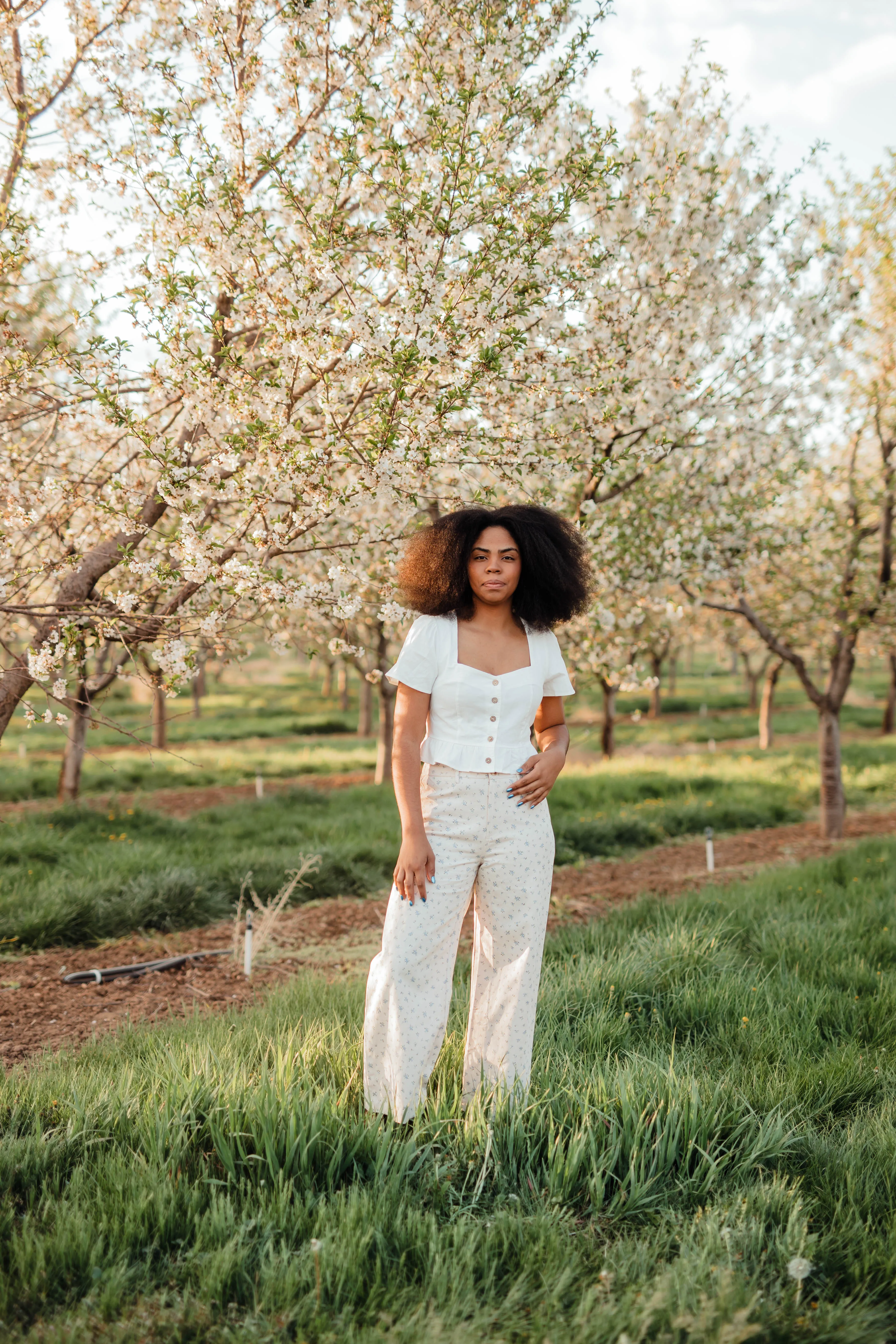Bluebell pants