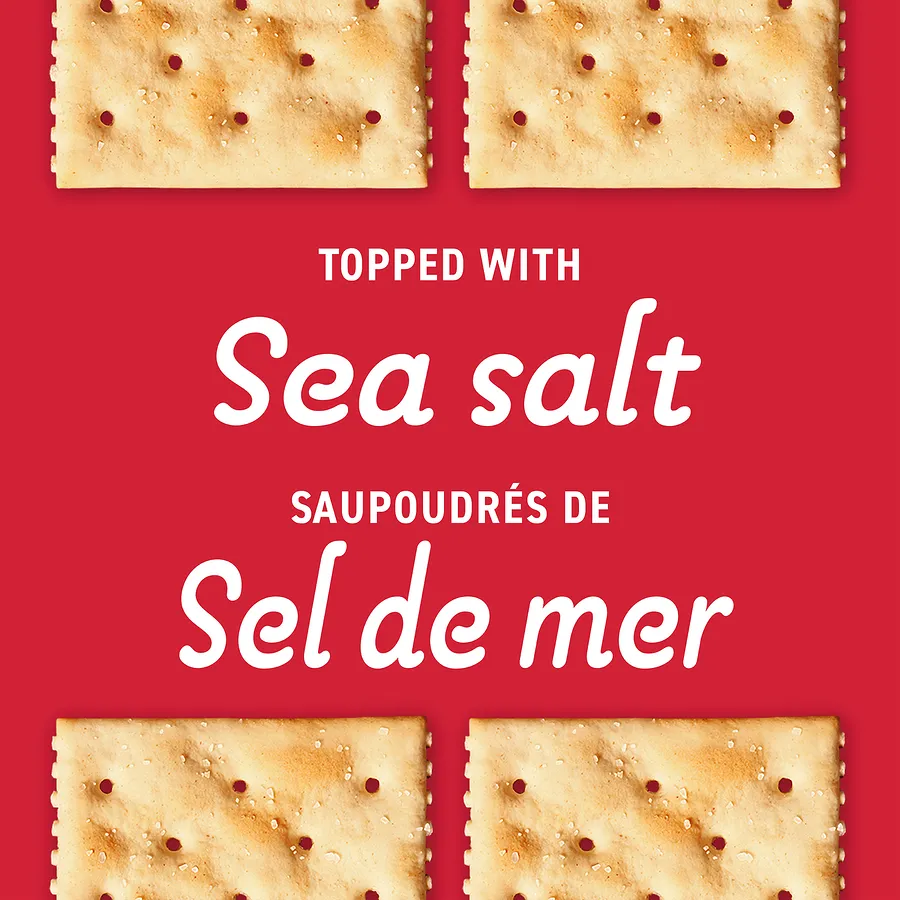 Christie - Premium Plus Salted Crackers - 900 g - Canadian Distribution