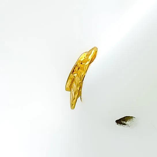 Dainty Decorative 22k Gold Top Earrings