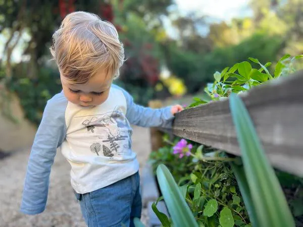 Ettie & H Raglan Sleeve Graphic Tee: Size 2 to 7