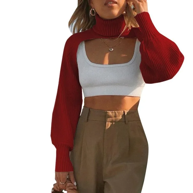 Female Sweater Solid High Collar Long Puff Sleeve Knitwear