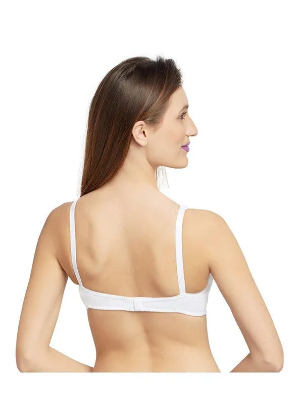 Lovable Maroon and White Non Padded Wirefree Bra Pack of 2 - ULTRA-MAROON/WHITE