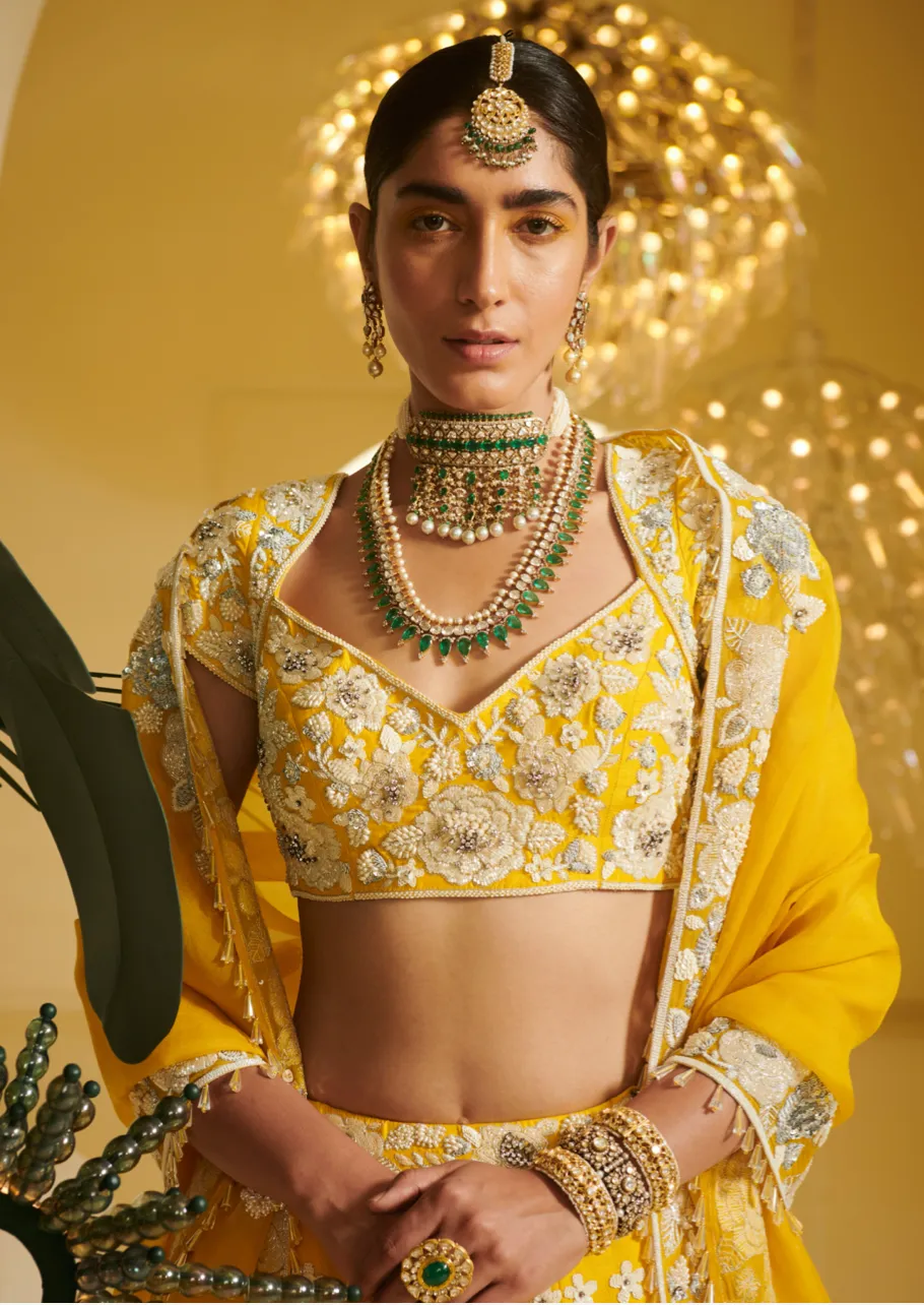 Yellow Embellished Kali Lehenga Set